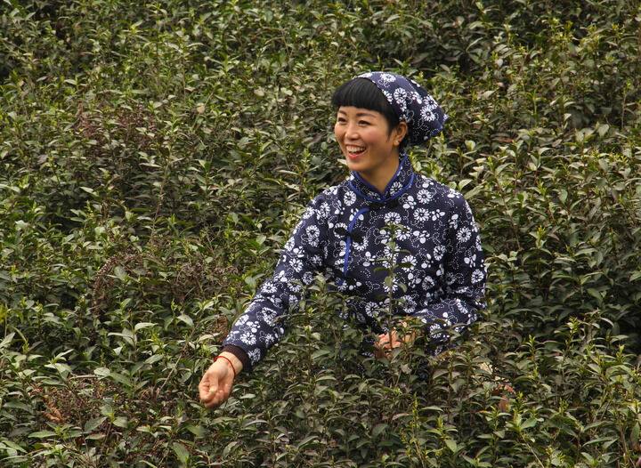 更新